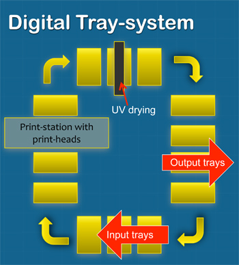 Bergstein_presenatie_Tray